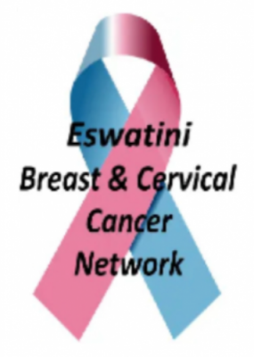 pink and blue cancer ribbon with the text "Eswatini Breast & Cervical Cancer Network on top of it"